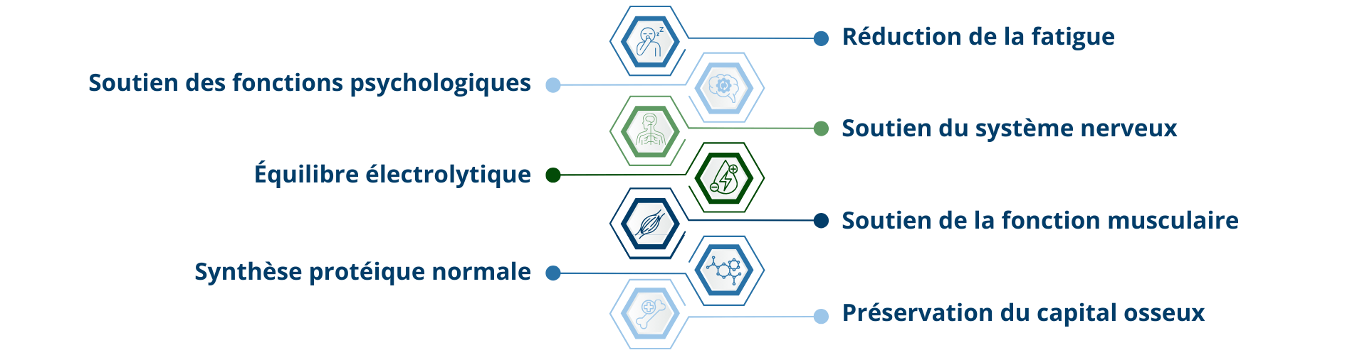 Bienfaits du glycérophosphate de magnésium